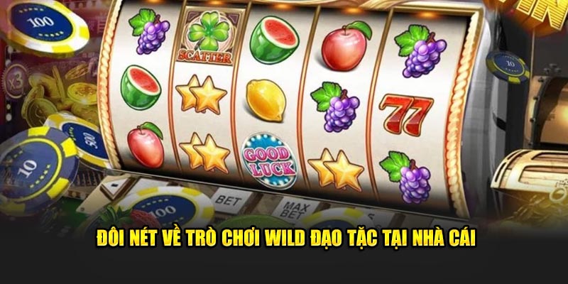 Đôi nét về trò chơi Wild đạo tặc tại nhà cái